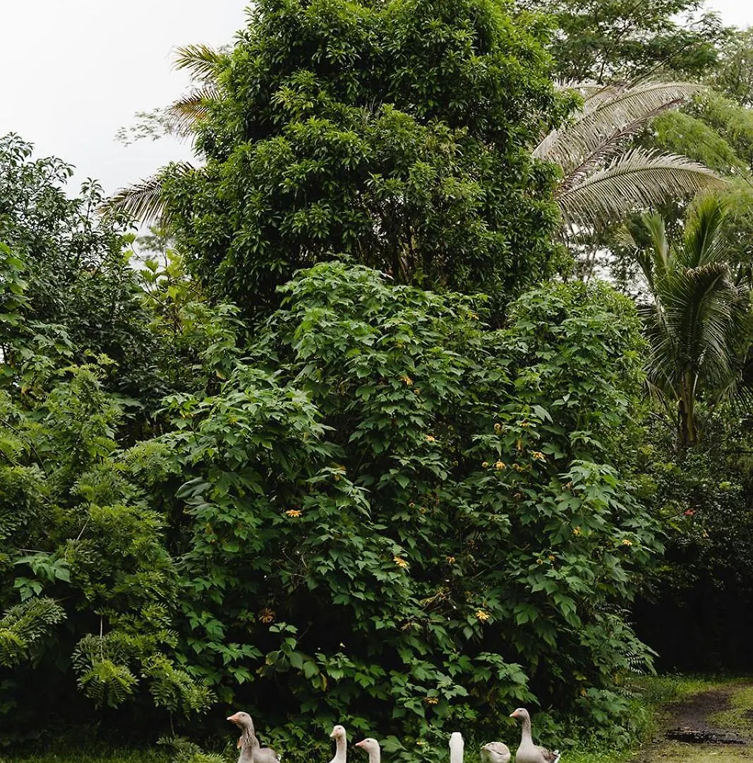Villa Hawaiian Sanctuary Eco Retreat Center Pahoa USA