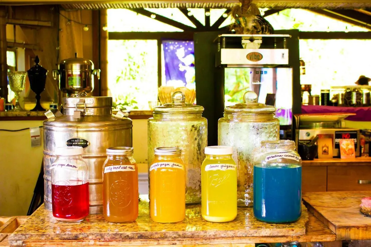 Vila Hawaiian Sanctuary Eco Retreat Center Pahoa