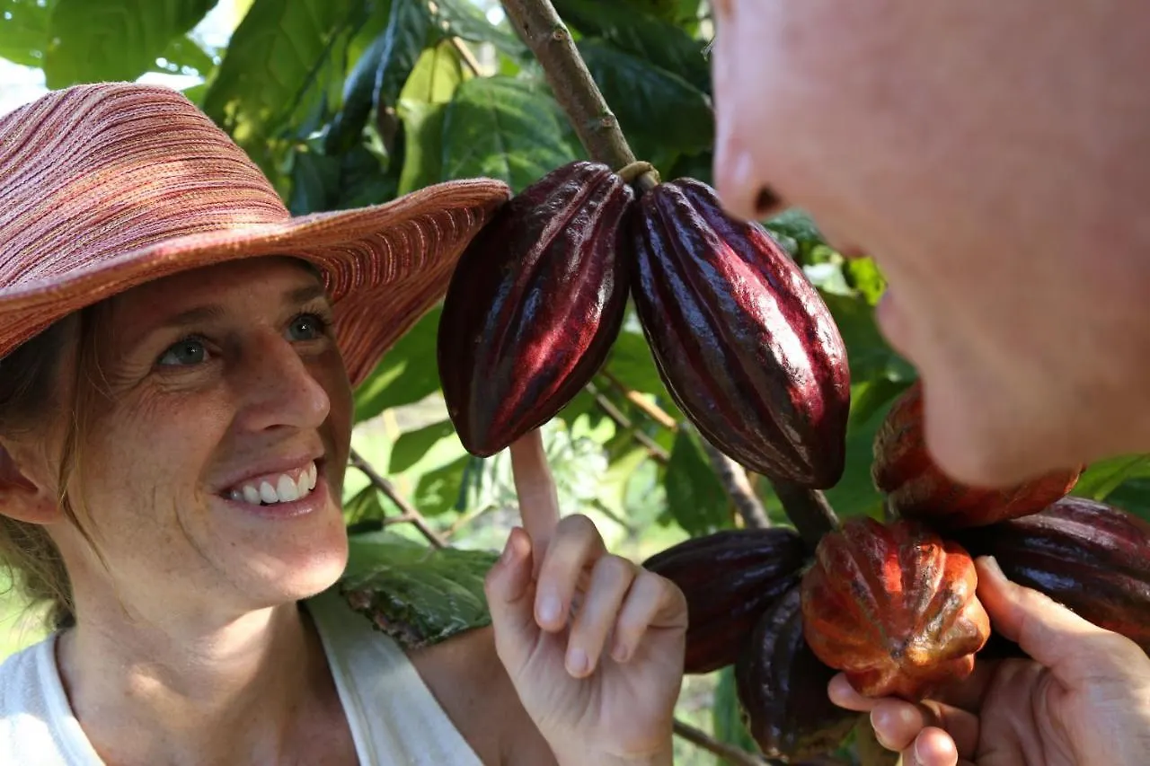 Farma Vila Hawaiian Sanctuary Eco Retreat Center Pahoa